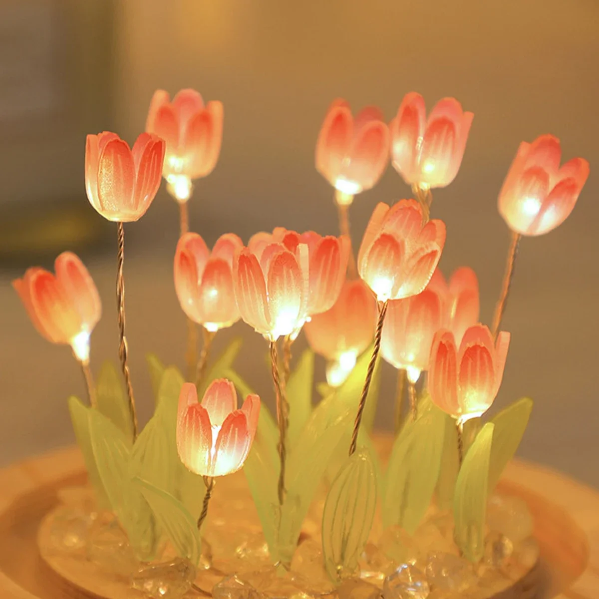 DIY LED Handmade Mini Tulip Ni - огляд і ціна Kids Outdoor Movie Night